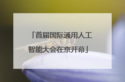 首届国际通用人工智能大会在京开幕