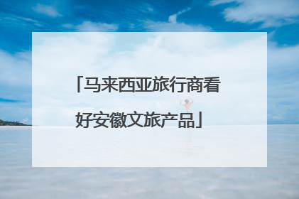 马来西亚旅行商看好安徽文旅产品