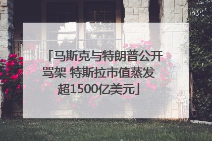 马斯克与特朗普公开骂架 特斯拉市值蒸发超1500亿美元