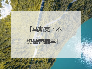马斯克：不想做替罪羊