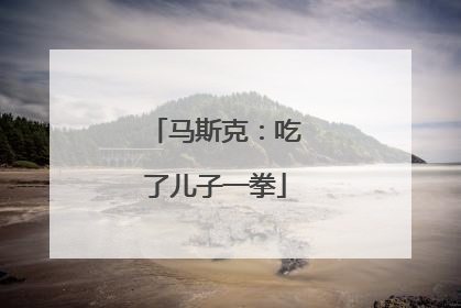 马斯克：吃了儿子一拳