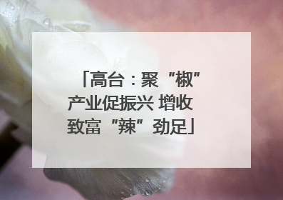 高台：聚“椒”产业促振兴 增收致富“辣”劲足