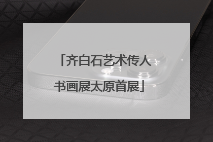 齐白石艺术传人书画展太原首展