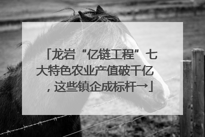 龙岩“亿链工程”七大特色农业产值破千亿，这些镇企成标杆→