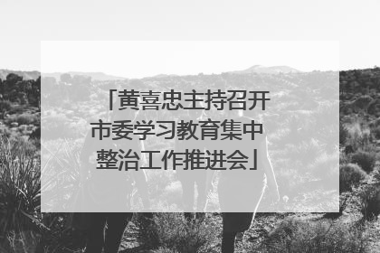 黄喜忠主持召开市委学习教育集中整治工作推进会