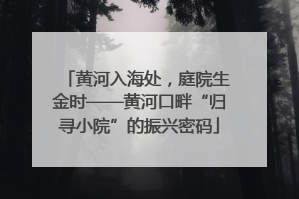黄河入海处，庭院生金时——黄河口畔“归寻小院”的振兴密码