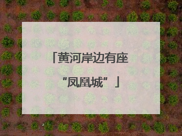 黄河岸边有座“凤凰城”
