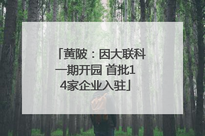 黄陂：因大联科一期开园 首批14家企业入驻