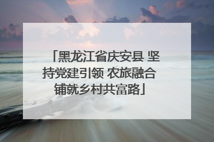黑龙江省庆安县 坚持党建引领 农旅融合铺就乡村共富路