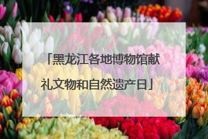 黑龙江各地博物馆献礼文物和自然遗产日