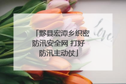 黟县宏潭乡织密防汛安全网 打好防汛主动仗
