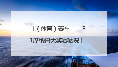 （体育）赛车——F1摩纳哥大奖赛赛况