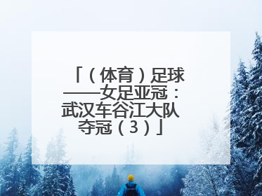 （体育）足球——女足亚冠：武汉车谷江大队夺冠（3）