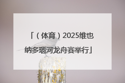 （体育）2025维也纳多瑙河龙舟赛举行