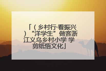 （乡村行·看振兴）“洋学生”做客浙江义乌乡村小学 学剪纸悟文化