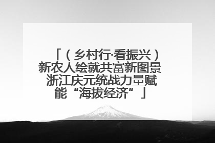 （乡村行·看振兴）新农人绘就共富新图景 浙江庆元统战力量赋能“海拔经济”