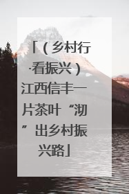 （乡村行·看振兴）江西信丰一片茶叶“沏”出乡村振兴路
