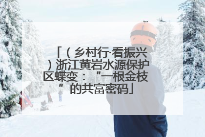（乡村行·看振兴）浙江黄岩水源保护区蝶变：“一根金枝”的共富密码
