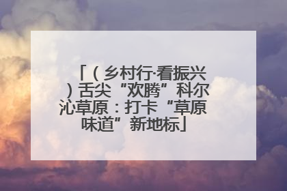 （乡村行·看振兴）舌尖“欢腾”科尔沁草原：打卡“草原味道”新地标