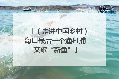 （走进中国乡村）海口最后一个渔村捕文旅“新鱼”