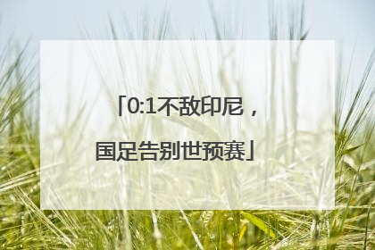 0:1不敌印尼，国足告别世预赛
