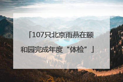 107只北京雨燕在颐和园完成年度“体检”