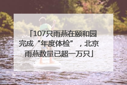 107只雨燕在颐和园完成“年度体检”，北京雨燕数量已超一万只