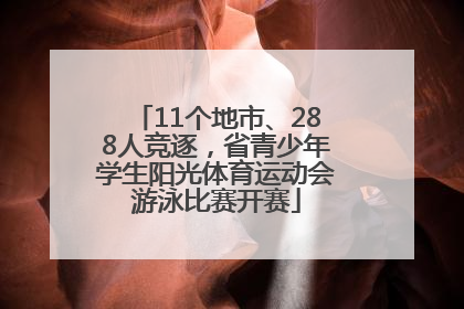 11个地市、288人竞逐，省青少年学生阳光体育运动会游泳比赛开赛