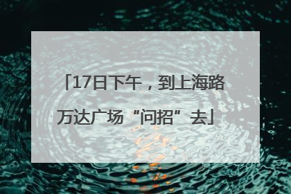 17日下午，到上海路万达广场“问招”去
