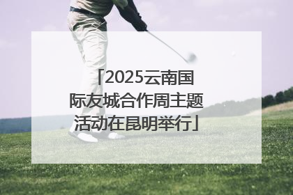 2025云南国际友城合作周主题活动在昆明举行