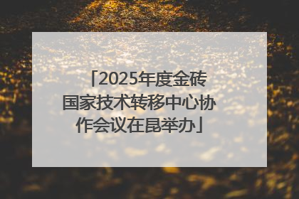 2025年度金砖国家技术转移中心协作会议在昆举办