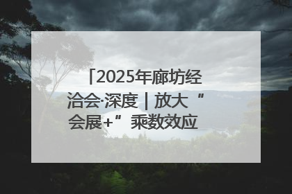2025年廊坊经洽会·深度｜放大“会展+”乘数效应 打造消费新场景