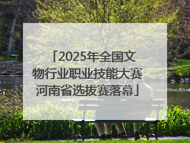 2025年全国文物行业职业技能大赛河南省选拔赛落幕