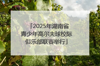 2025年湖南省青少年高尔夫球校际俱乐部联赛举行