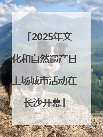 2025年文化和自然遗产日主场城市活动在长沙开幕