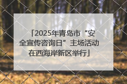 2025年青岛市“安全宣传咨询日”主场活动在西海岸新区举行