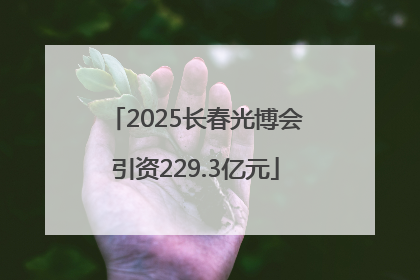 2025长春光博会引资229.3亿元