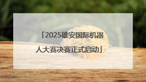 2025雄安国际机器人大赛决赛正式启动