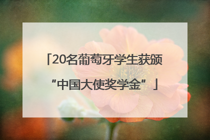 20名葡萄牙学生获颁“中国大使奖学金”