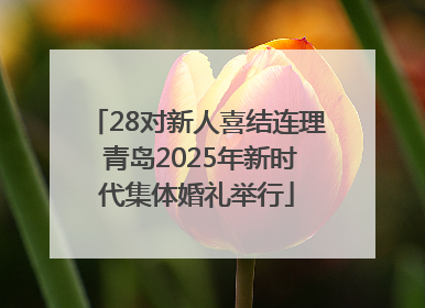 28对新人喜结连理 青岛2025年新时代集体婚礼举行