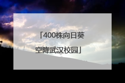 400株向日葵空降武汉校园