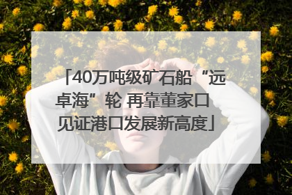 40万吨级矿石船“远卓海”轮 再靠董家口 见证港口发展新高度