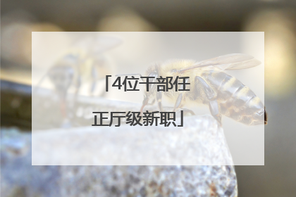 4位干部任正厅级新职