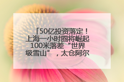 50亿投资落定！上海一小时圈将崛起100米落差“世界级雪山”，太仓阿尔卑斯二期重磅开工