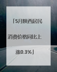 5月陕西居民消费价格同比上涨0.3%