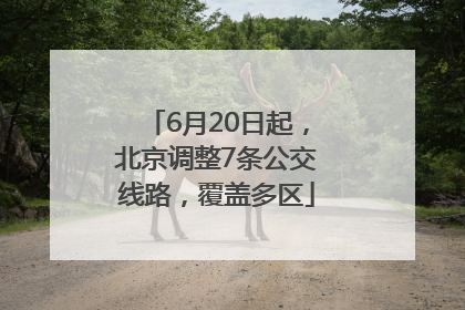 6月20日起，北京调整7条公交线路，覆盖多区