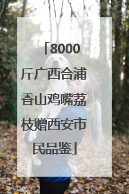 8000斤广西合浦香山鸡嘴荔枝赠西安市民品鉴