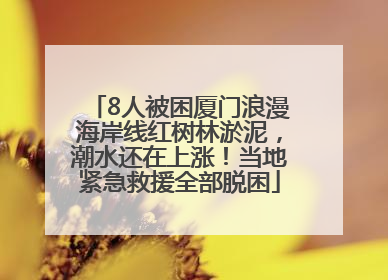 8人被困厦门浪漫海岸线红树林淤泥，潮水还在上涨！当地紧急救援全部脱困