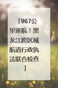 967公里巡航！黑龙江跨区域航道行政执法联合检查