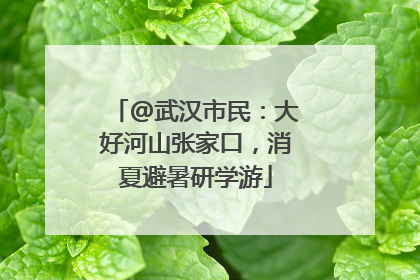 @武汉市民：大好河山张家口，消夏避暑研学游